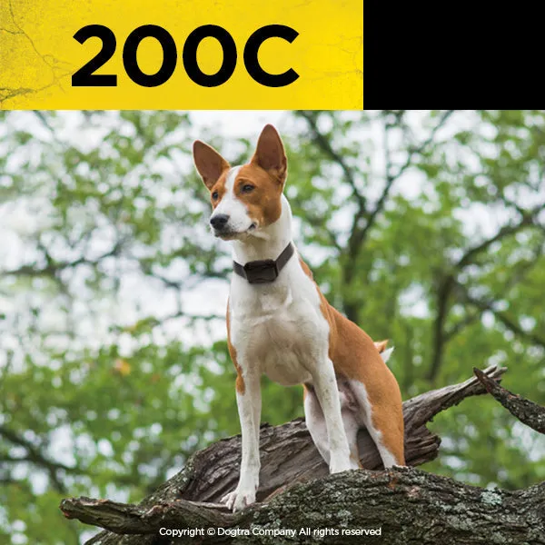 200C