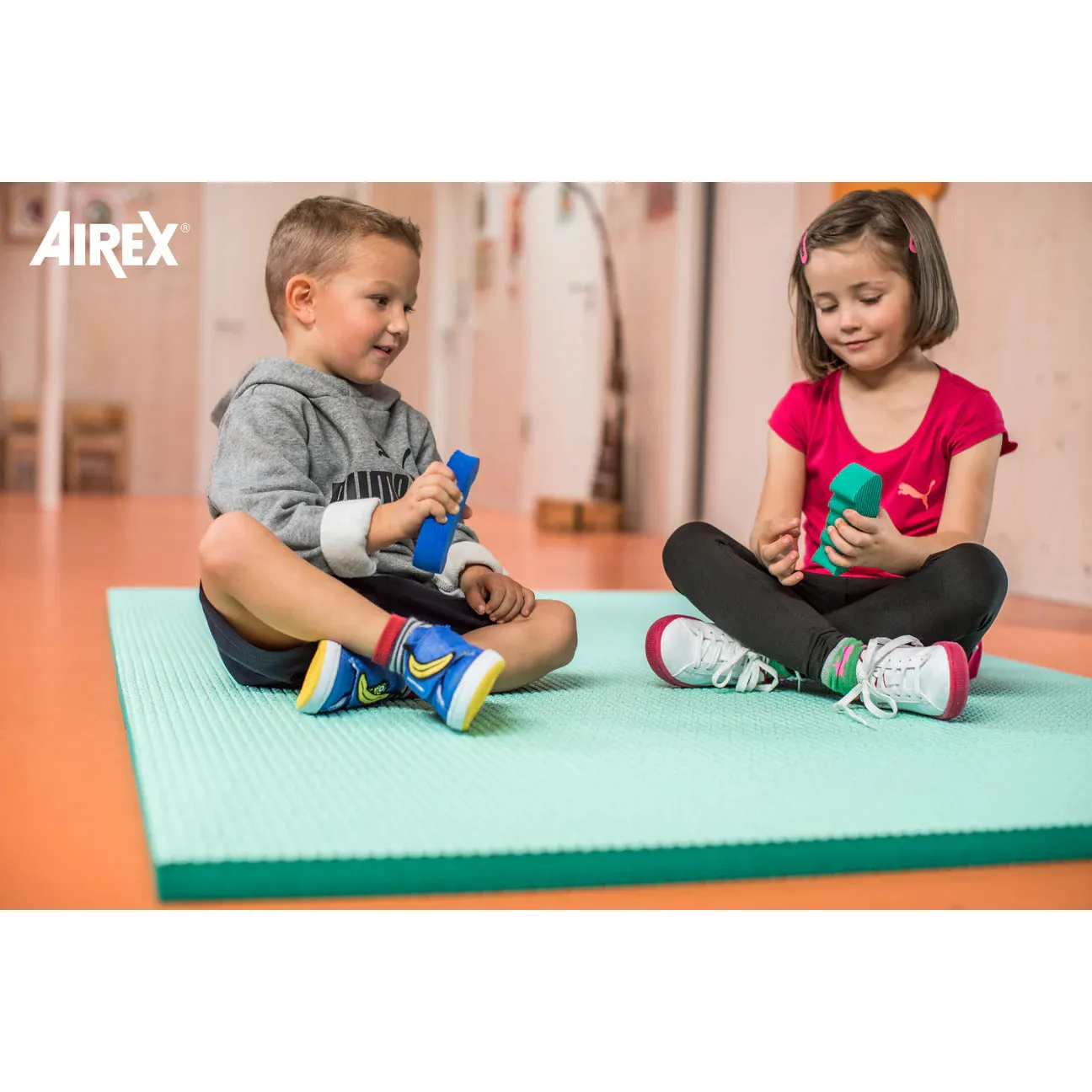 Airex Hand Trainer