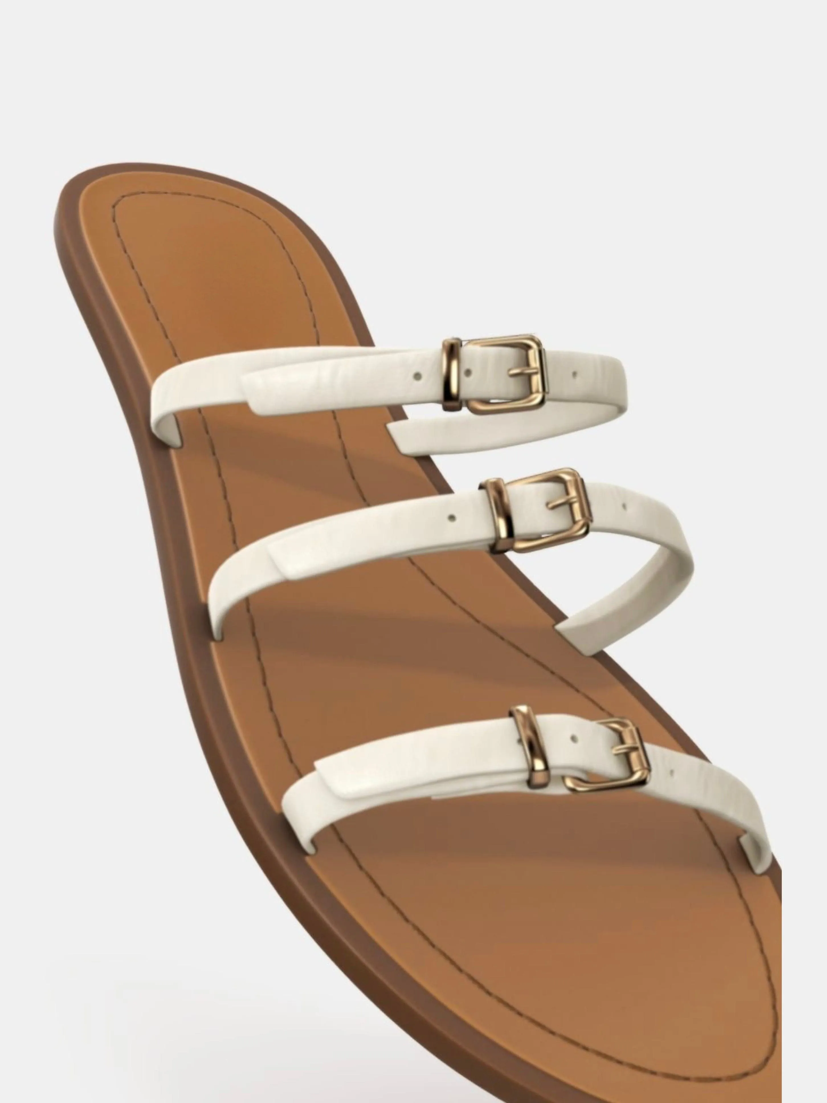 Bianca Slides