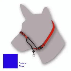Black Dog Training Halter Blue