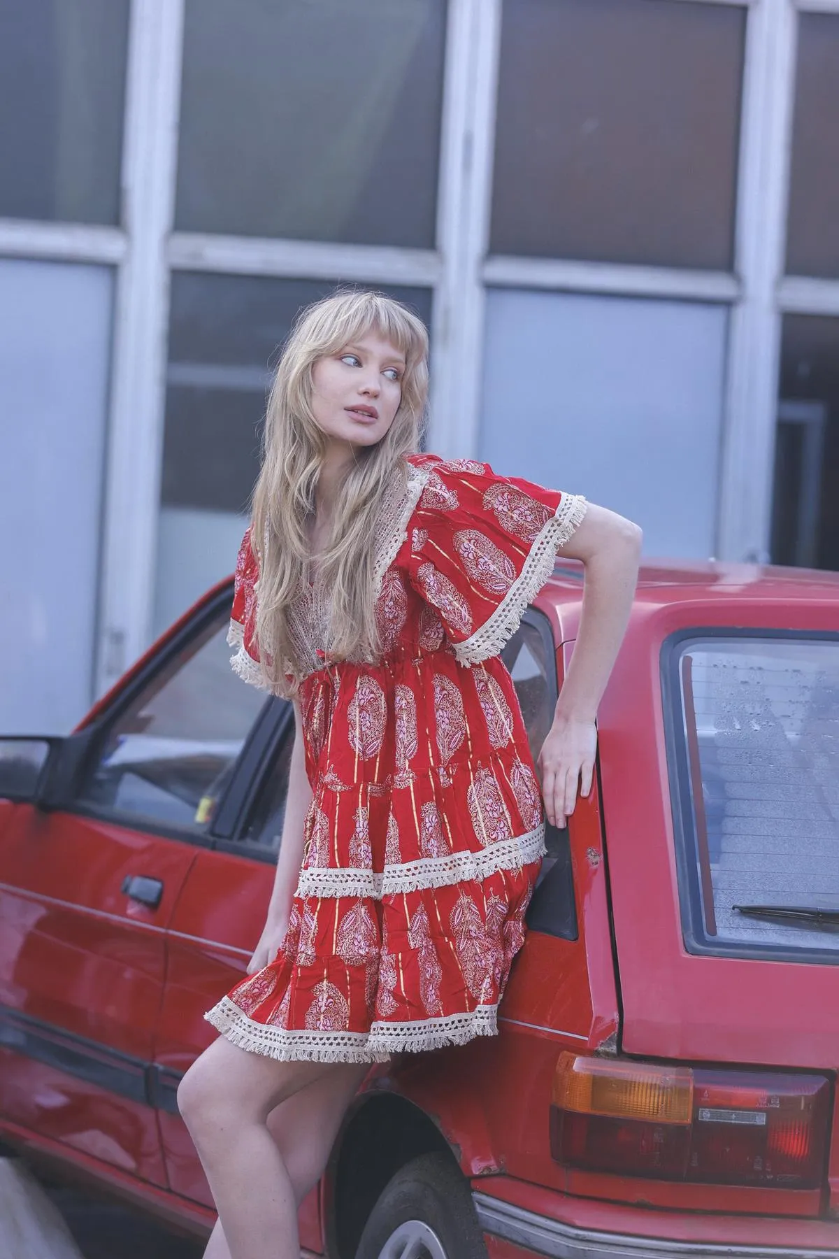 Leaves Print Lace Embroidered V Neck Dress