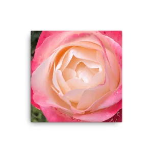 "Deep inside the mellowness"  Pink and Red Flower Canvas