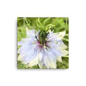 "The joy of having time" Blue Flower Canvas