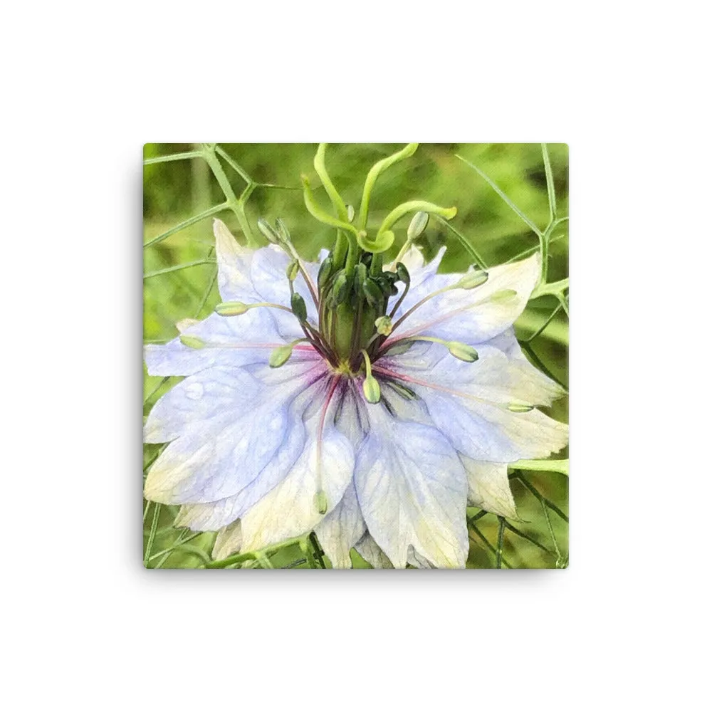 "The joy of having time" Blue Flower Canvas