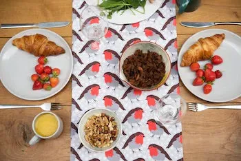 ROBIN REDBREAST TABLE RUNNER