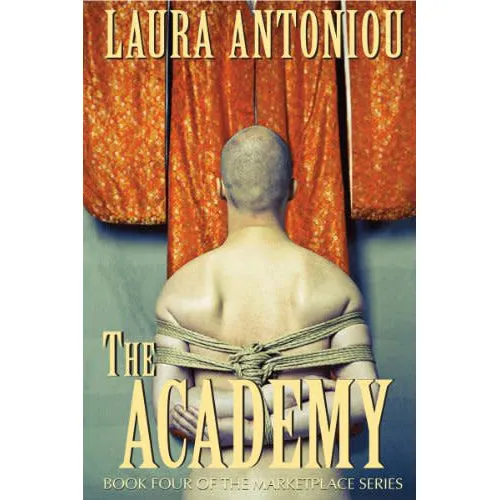 The Marketplace Series by Laura Antoniou